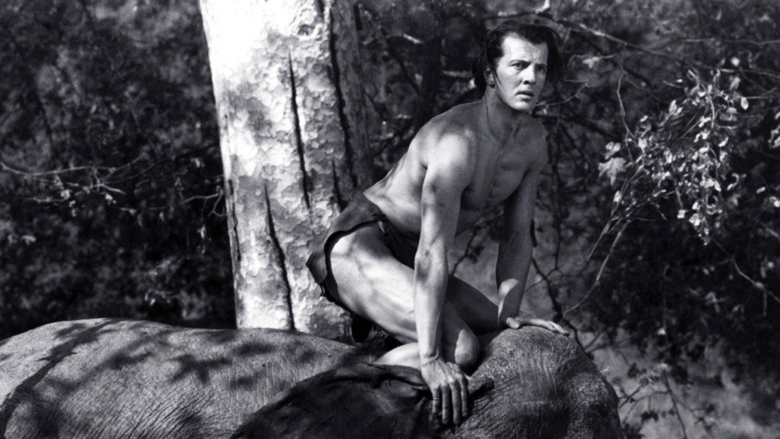 Tarzan and the Green Goddess