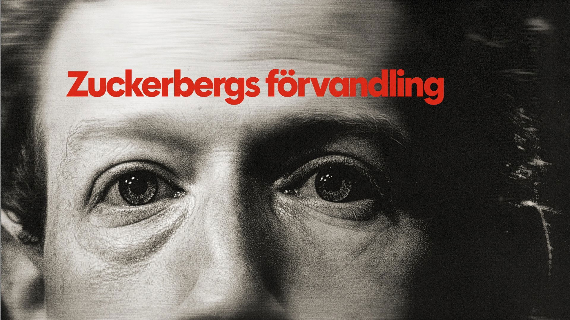 Zuckerberg, From Geek to Guru