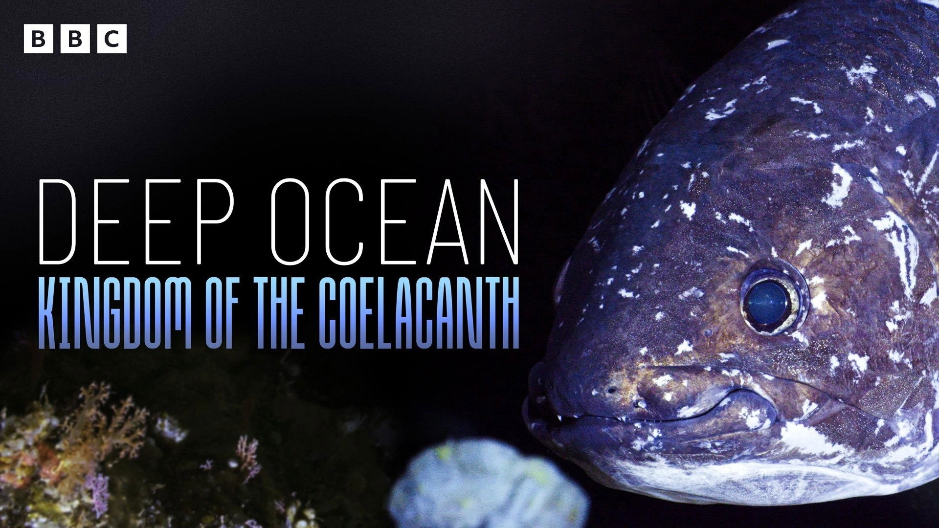 Deep Ocean: Kingdom of the Coelacanth