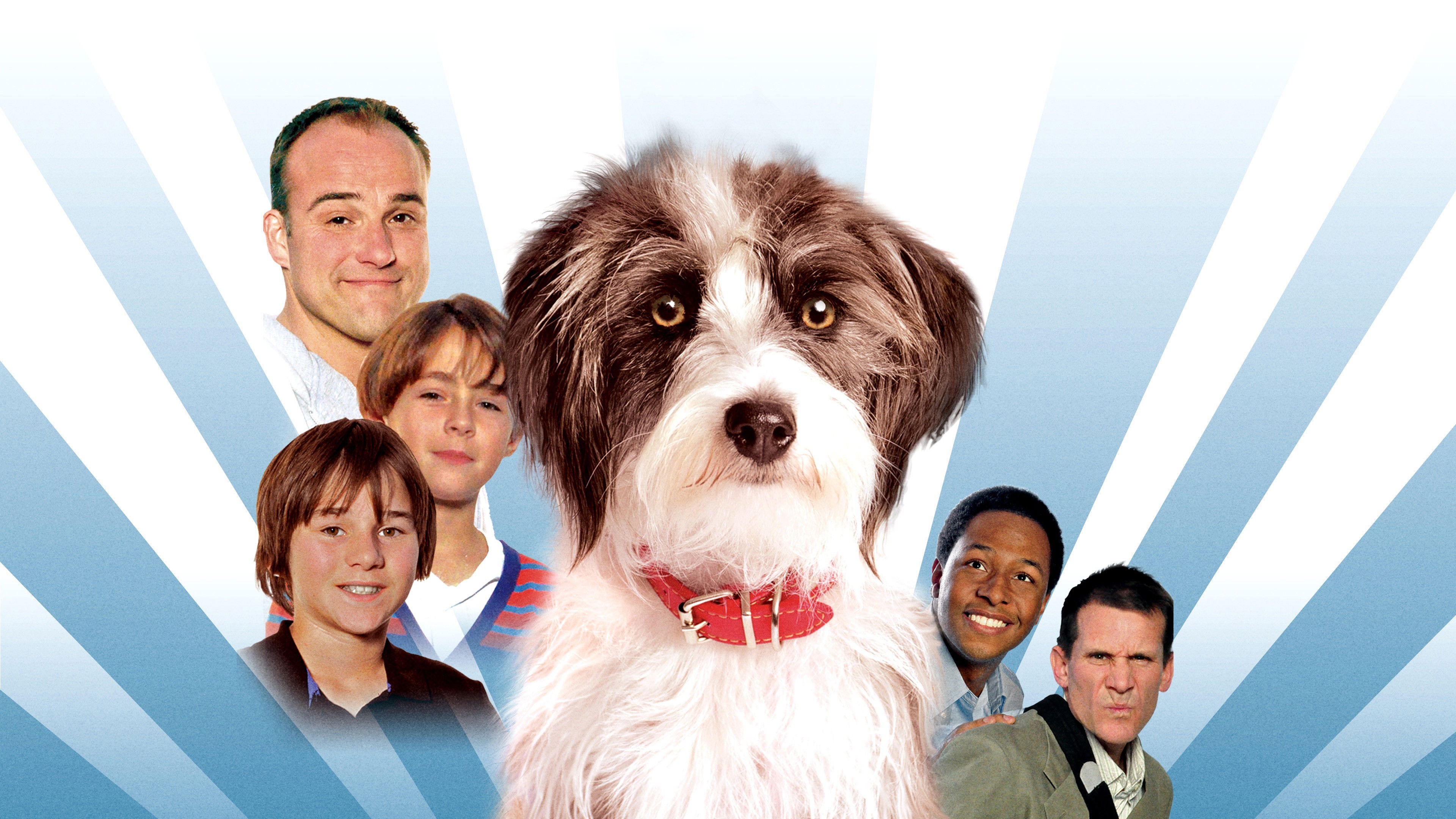 Sox: A Family's Best Friend