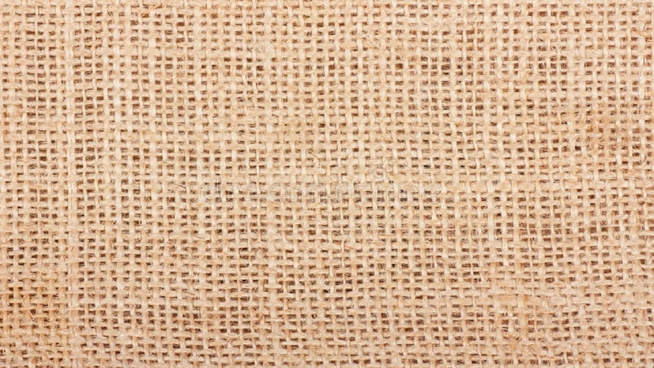 Café com Aroma de Mulher