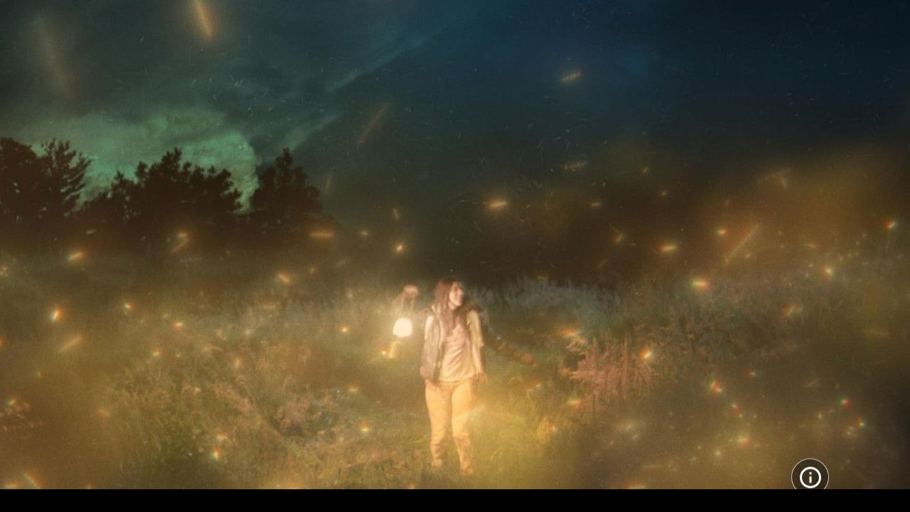 The Girl, The Hunter, & The Firefly