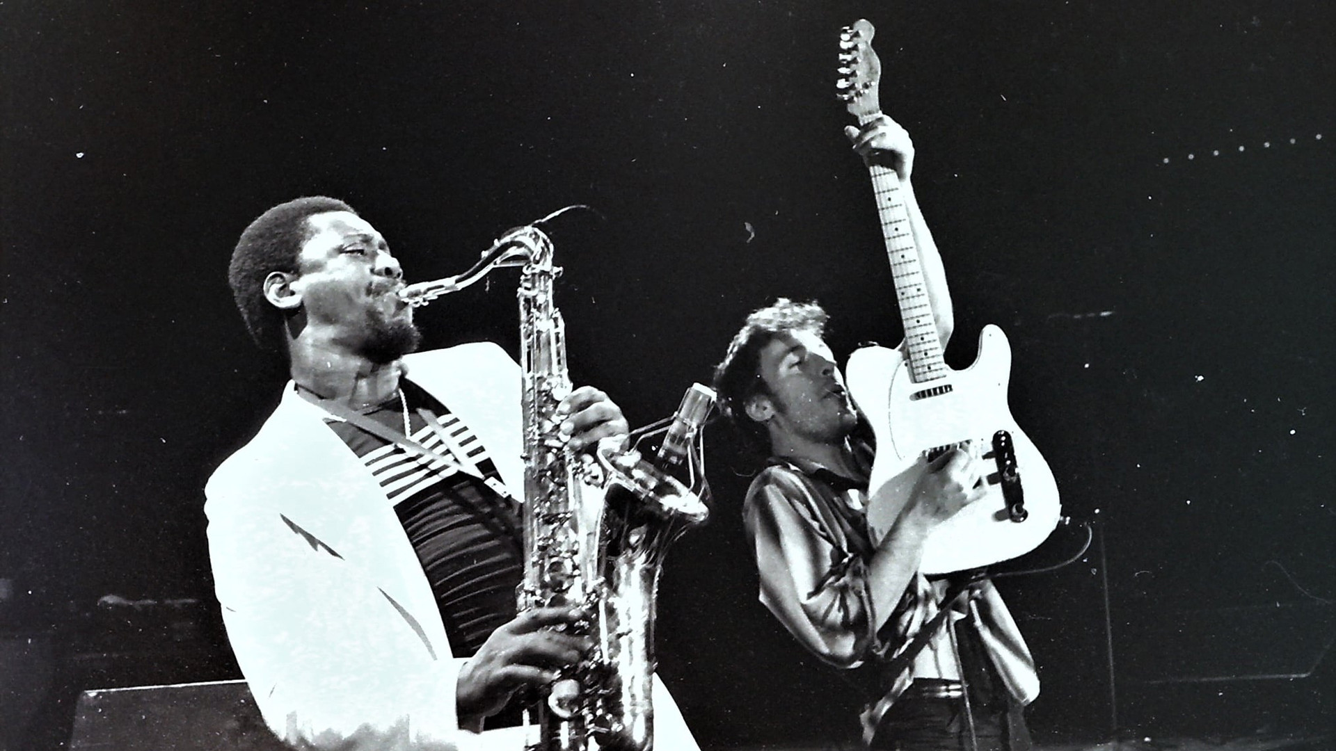 Bruce Springsteen & the E Street Band Houston '78 Bootleg: House Cut