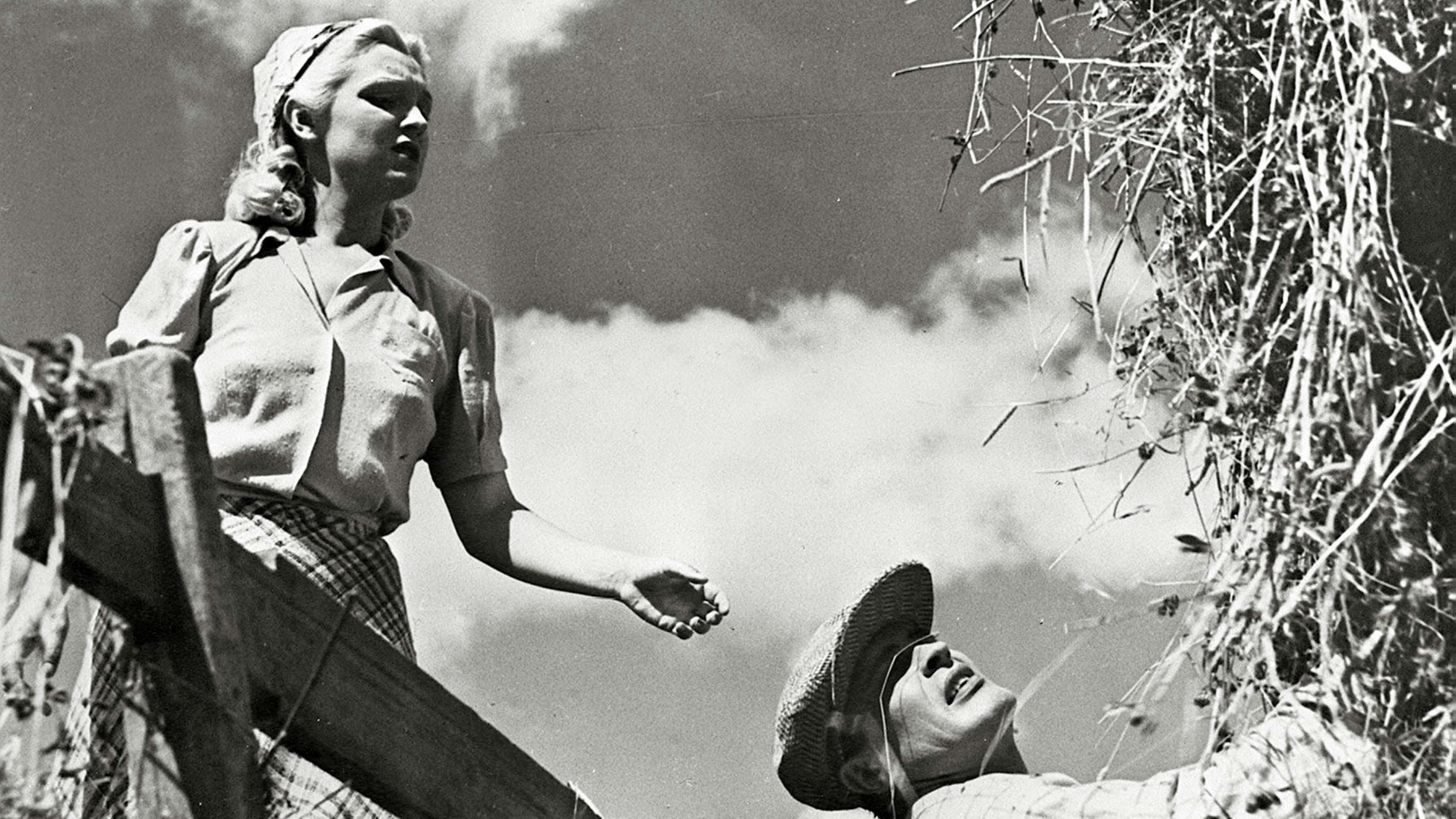 Oi, kallis Suomenmaa