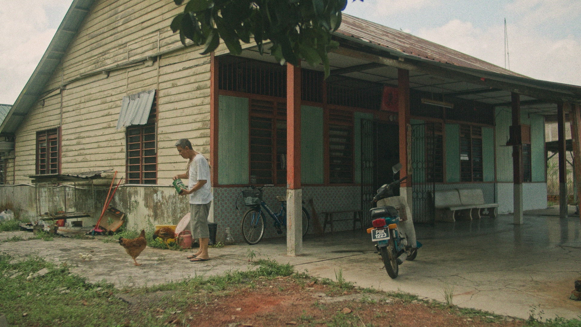 The Manggis in Ah Gong's Hands
