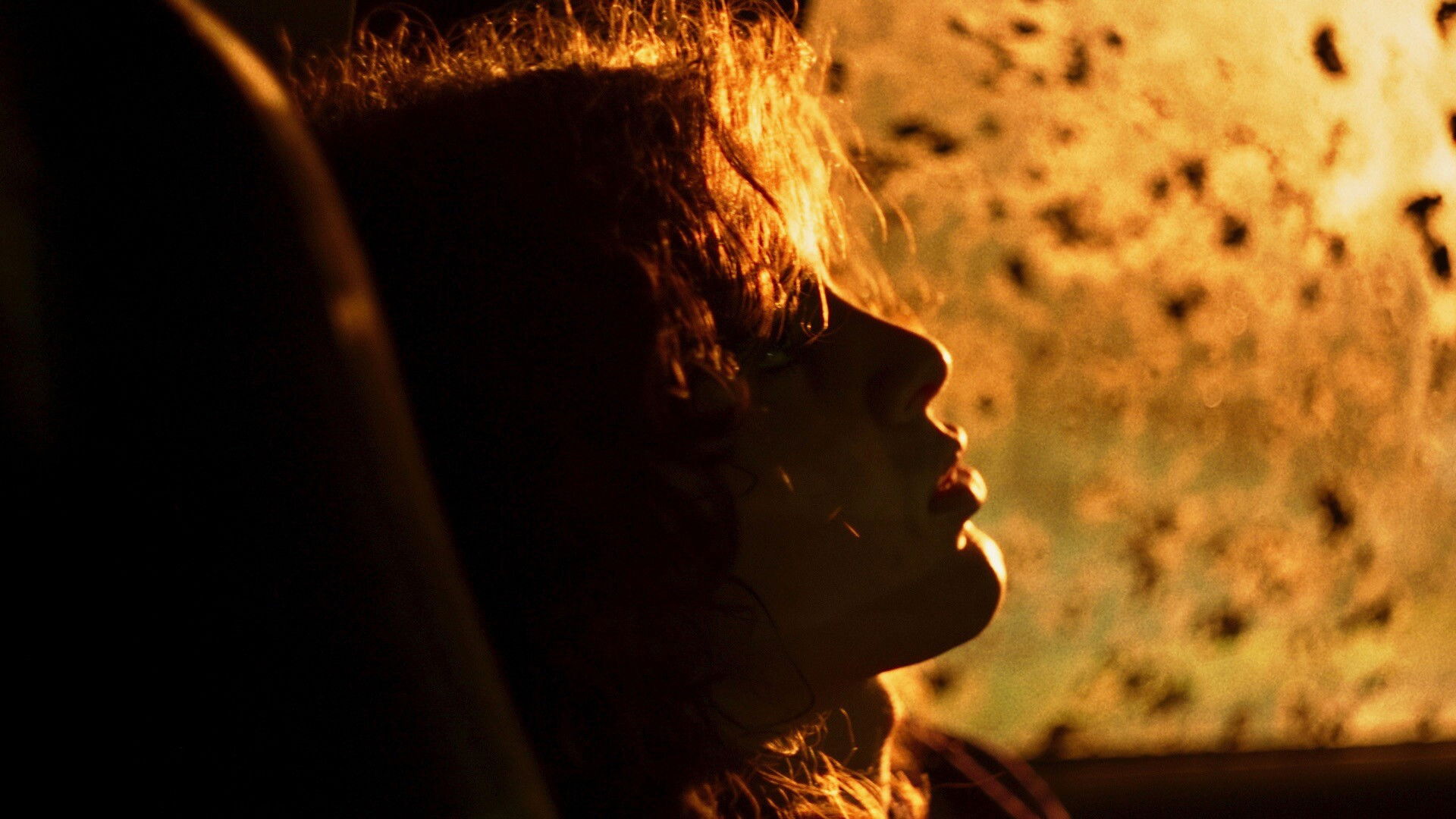 Thanks to the Hard Work of the Elephants