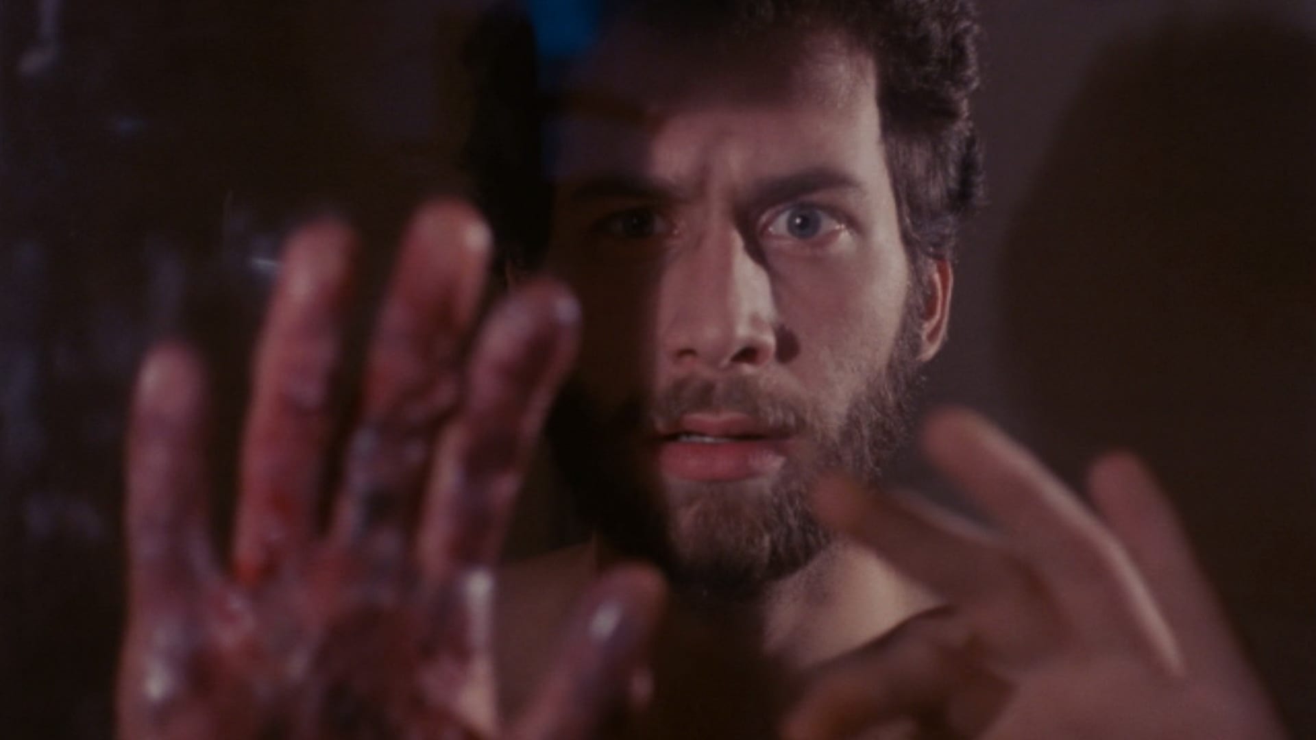 Revenge of the Living Dead Girls