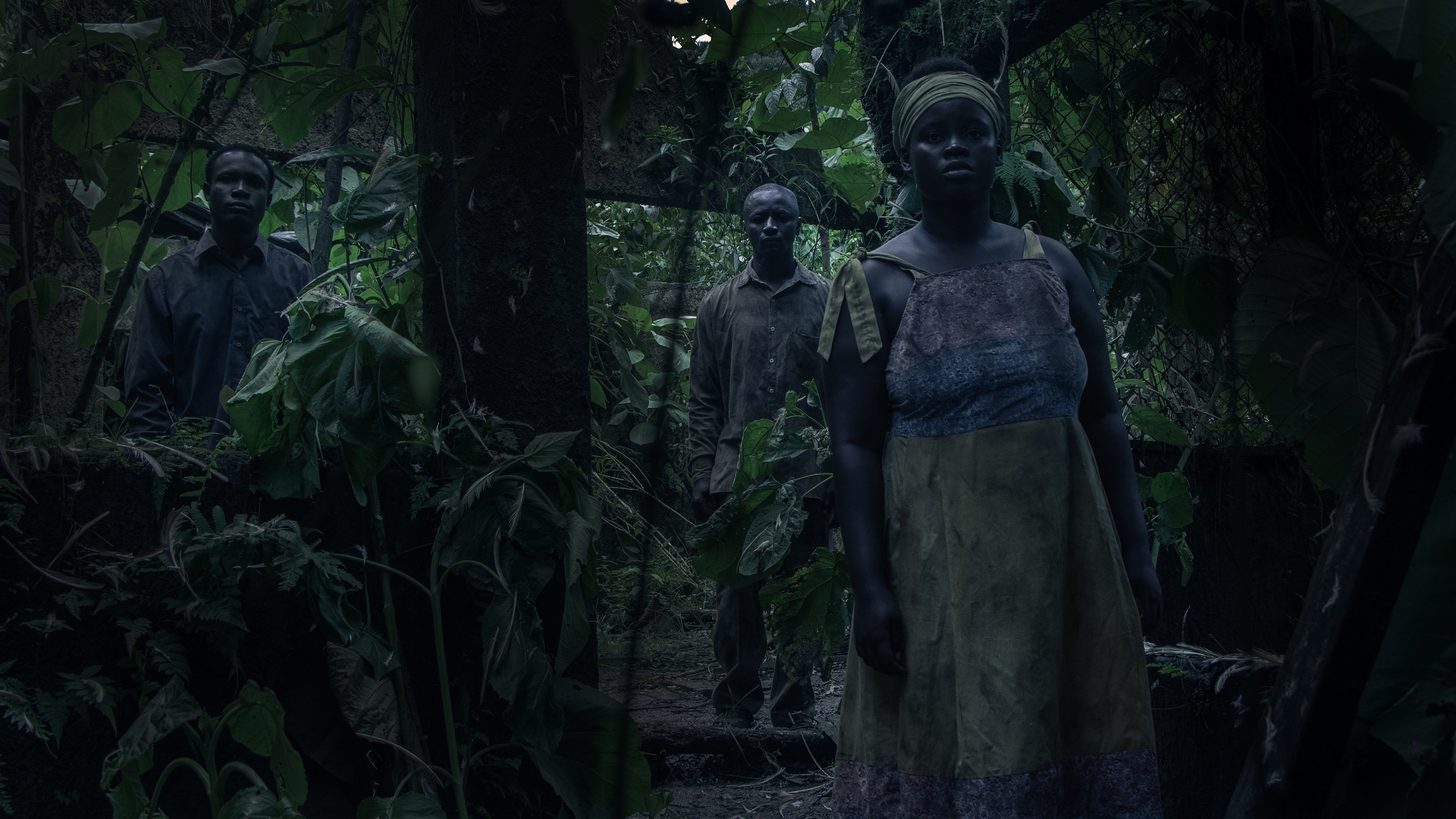 I Saw Three Black Lights