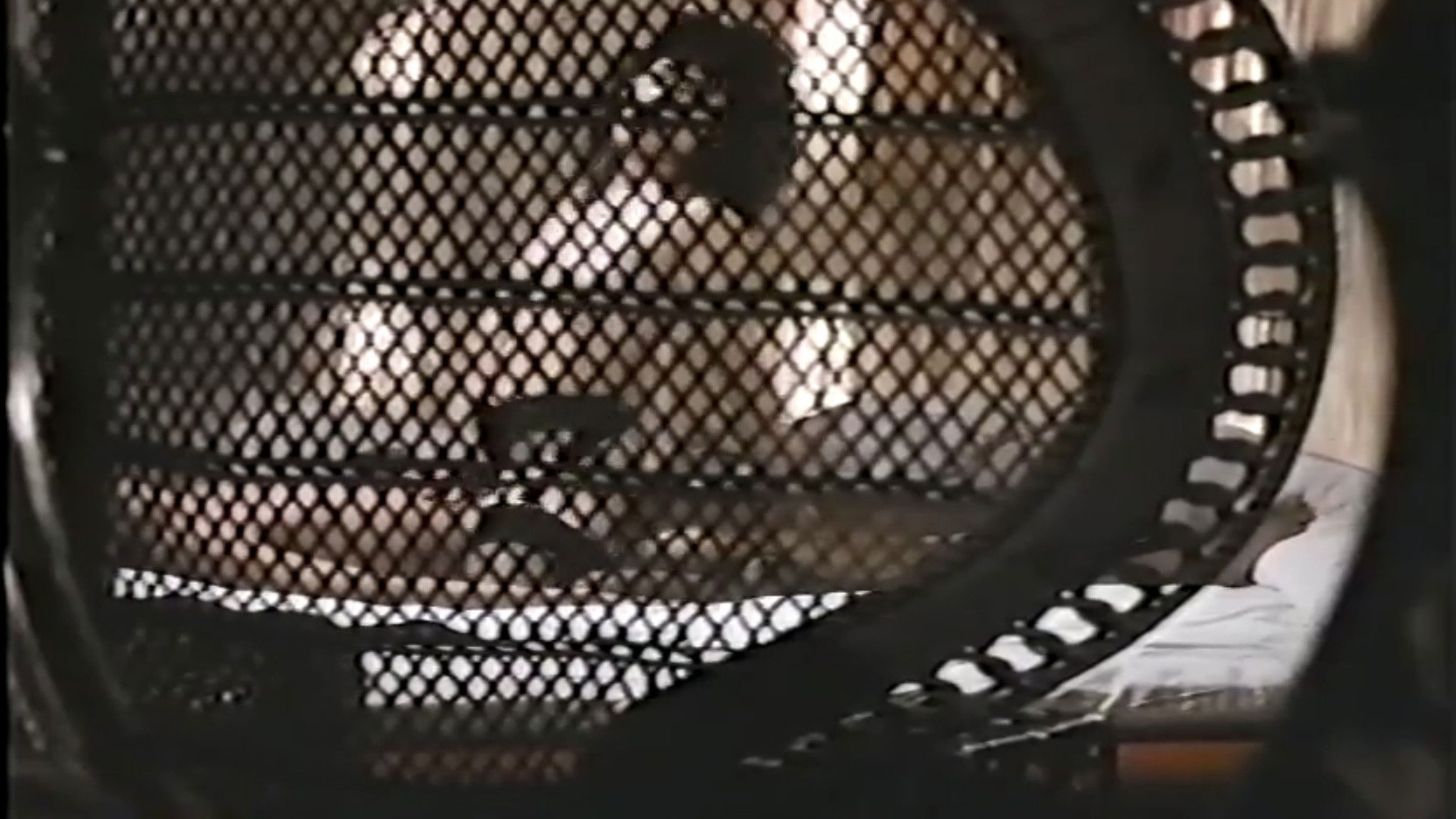 Groper Train: Start at the Back