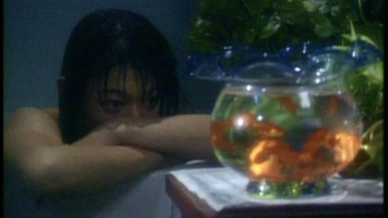 Zero Woman: Dangerous Game