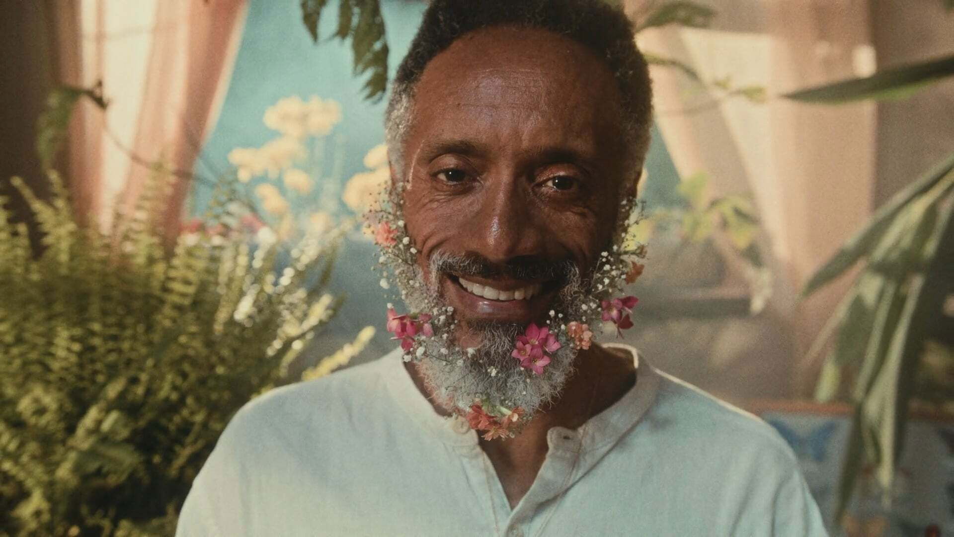 The Gentle Flutter of the Butterflies