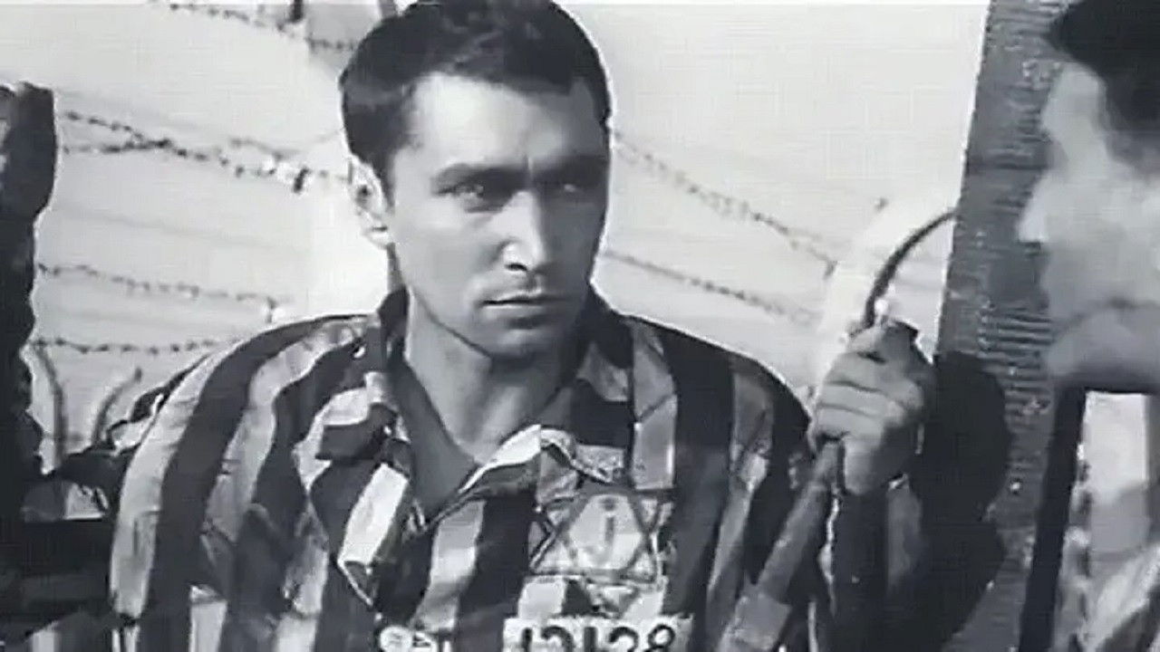 Sons of the Fatherland