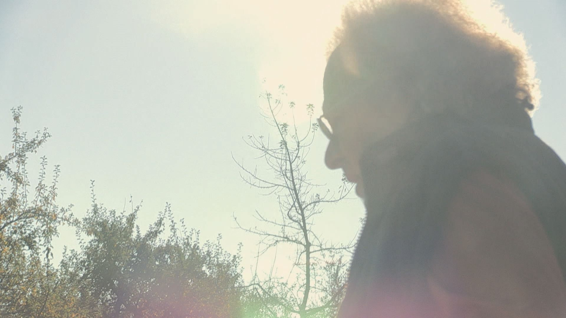 W. - What Remains of the Lie