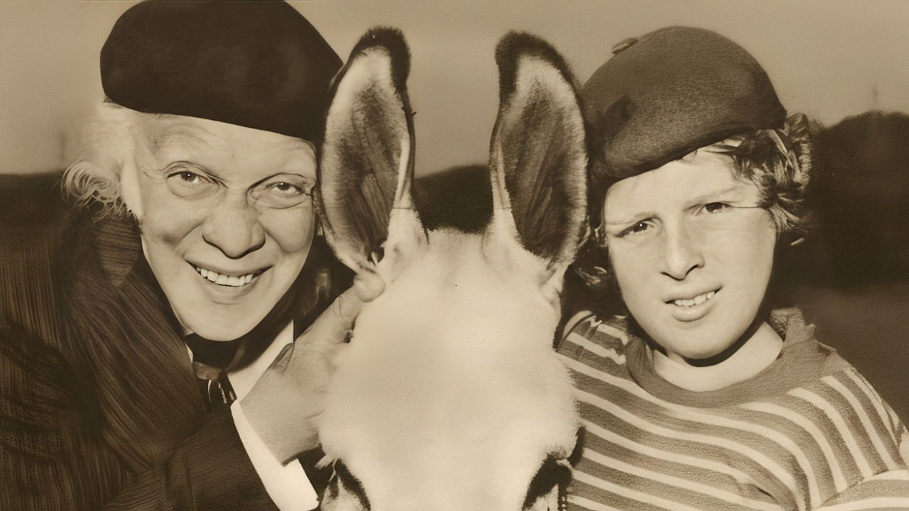 O Velho, o Menino e o Burro