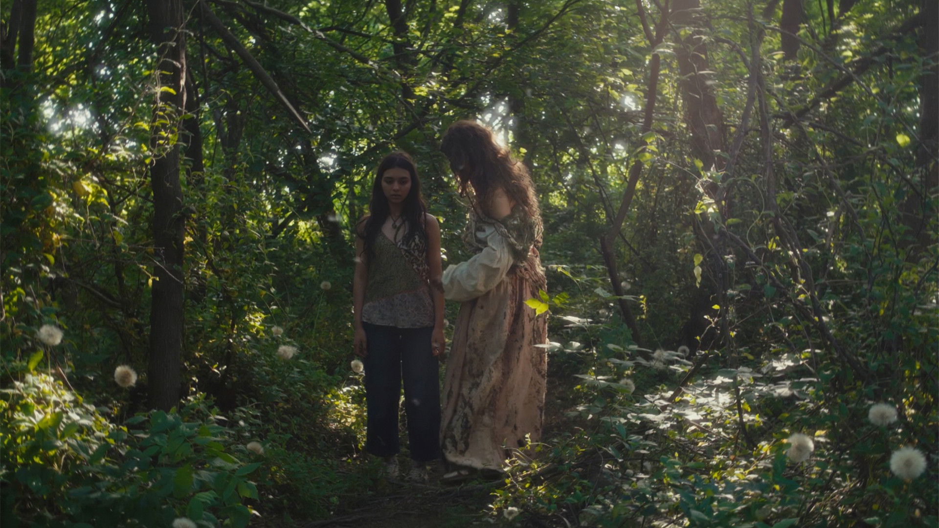 Donde Nacen Las Flores