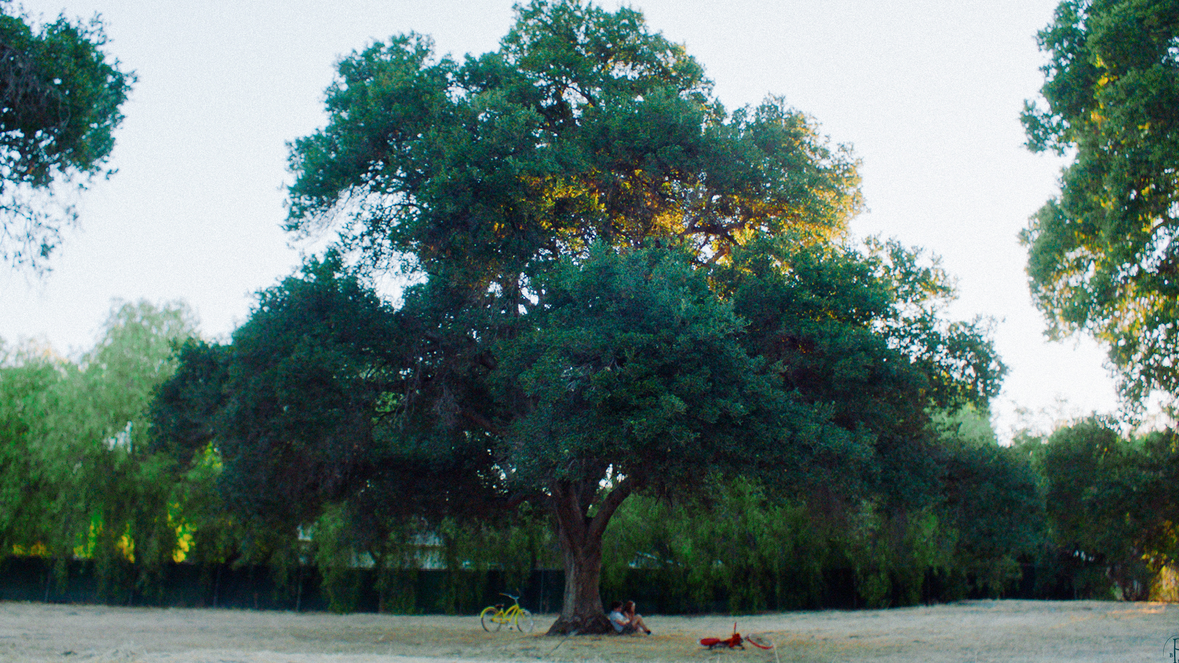 Pareidolia in B Minor