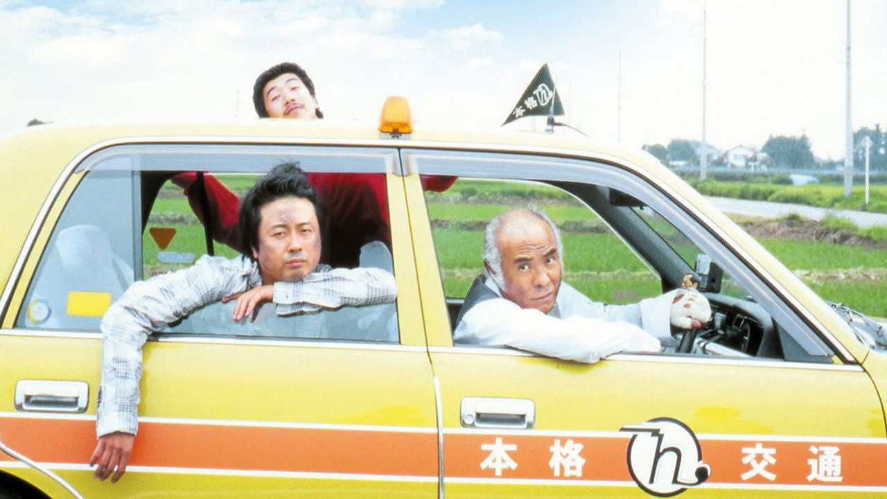 Looking for Cherry Blossoms