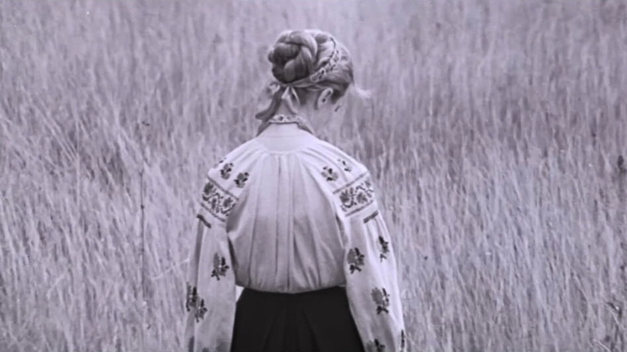 I'm Coming to You...