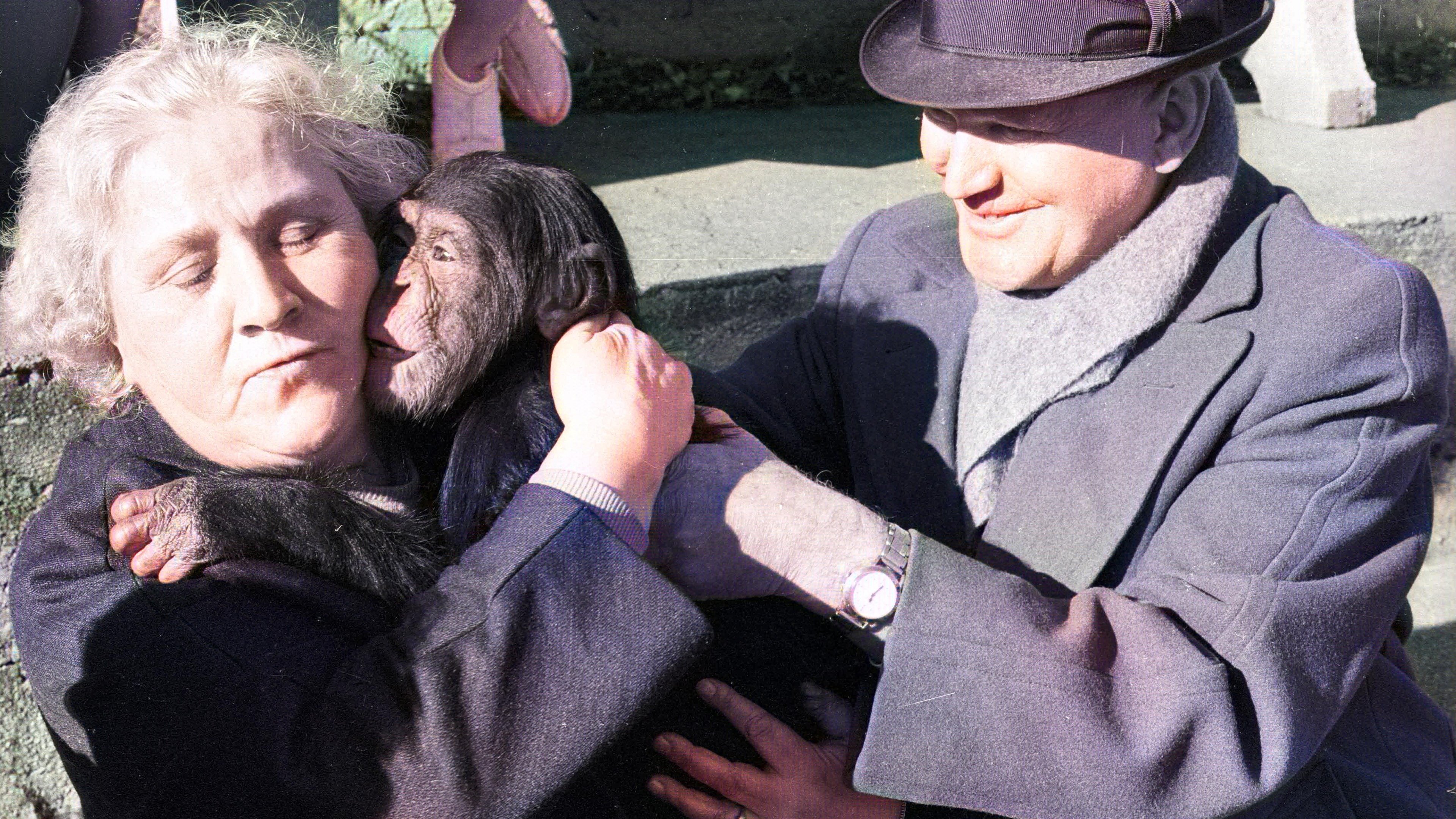 Land of Silence and Darkness