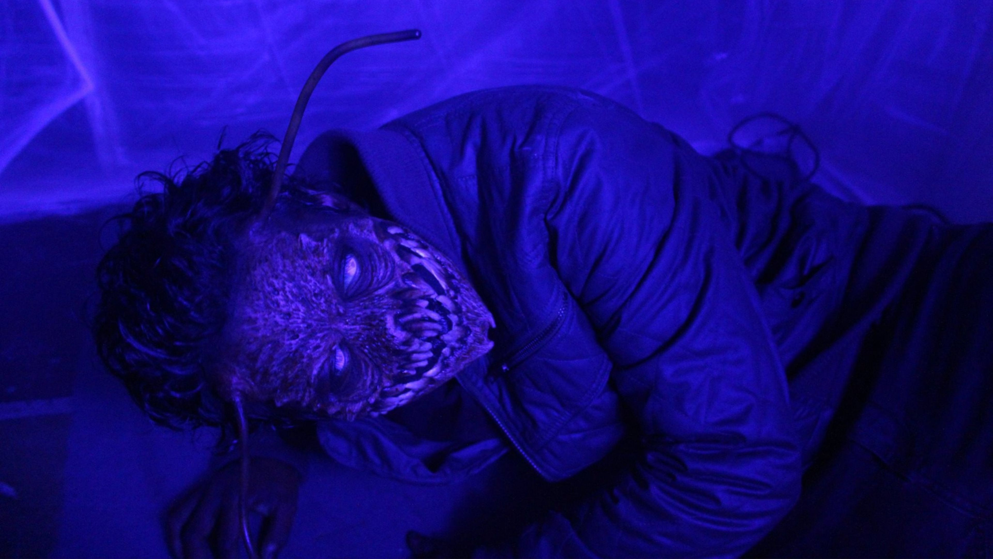 The Metamorphosis Experiment