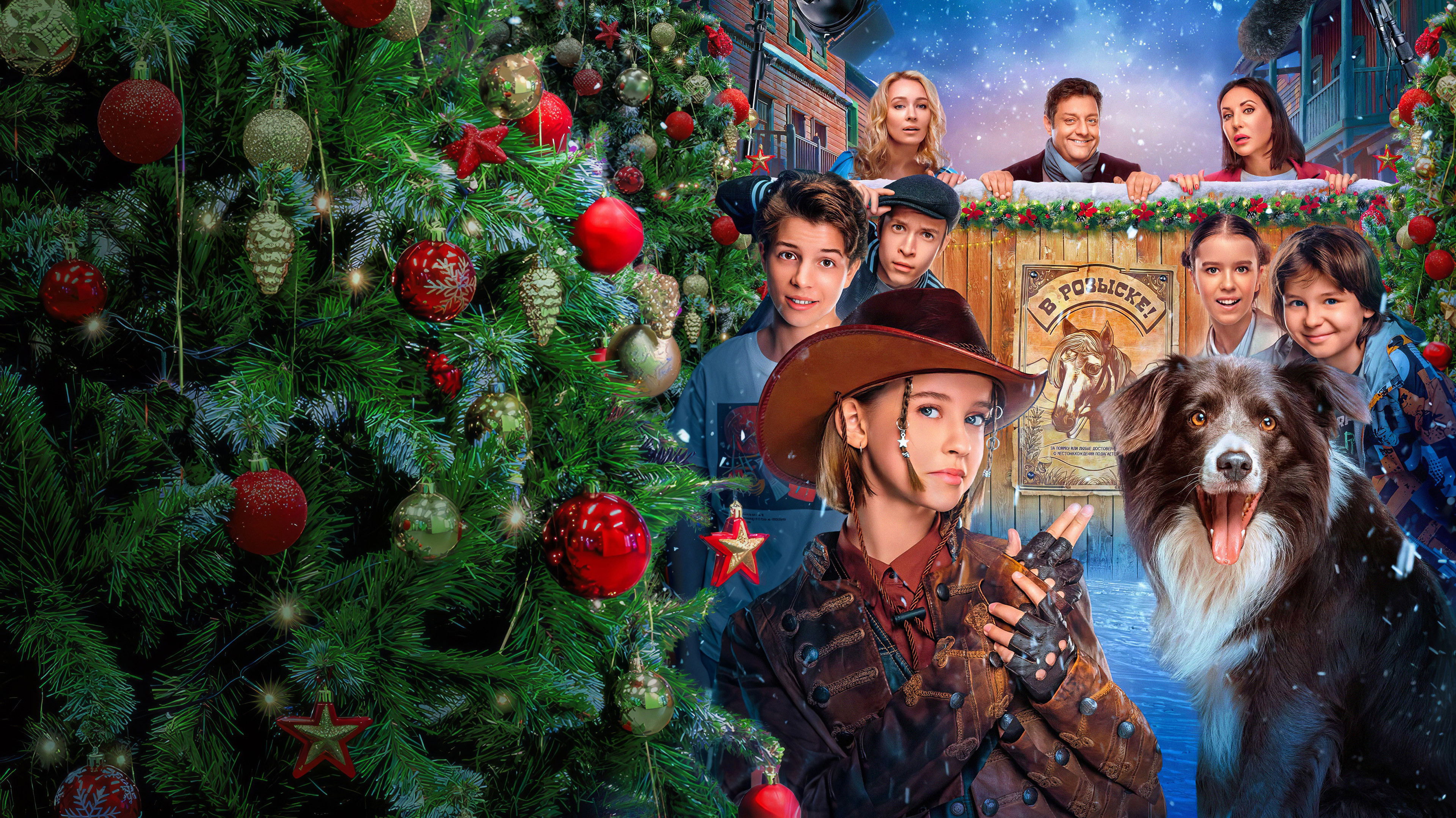 Home Alone. The Magnificent Five