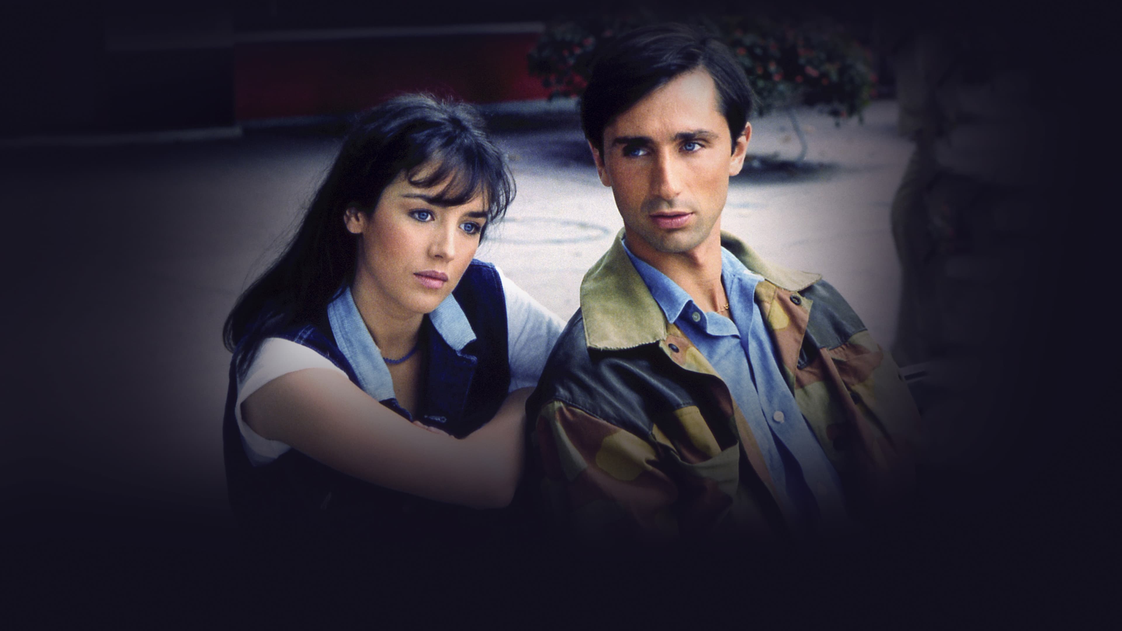 Clara and the Why Not