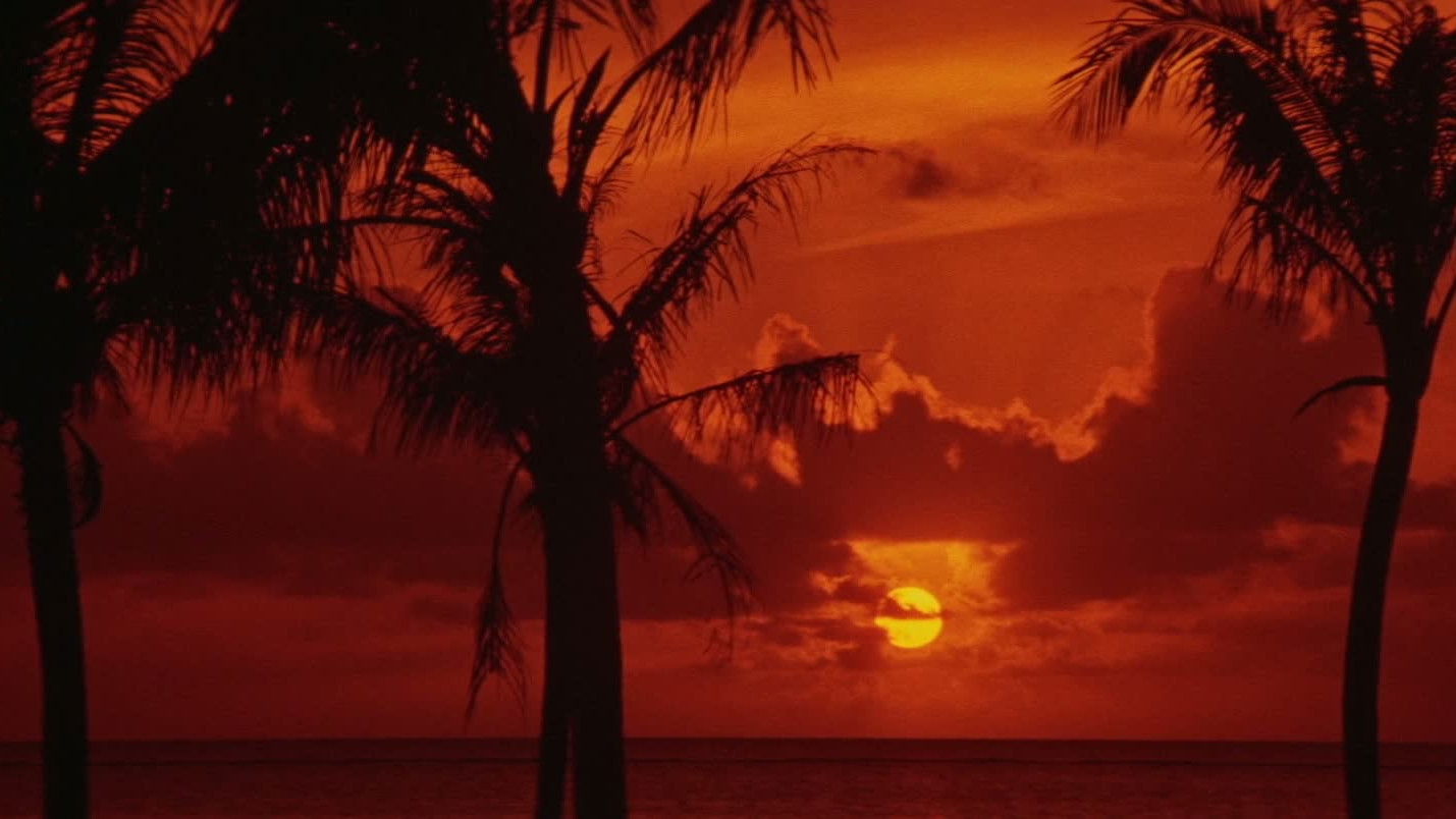 Japanese Godfather: Conclusion