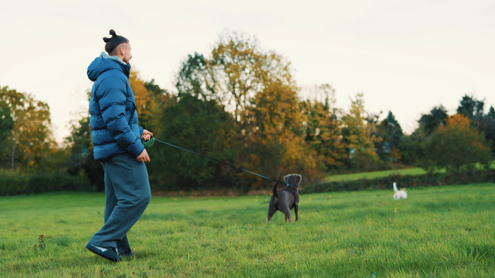 Radu Drăgușin: Life & Recovery