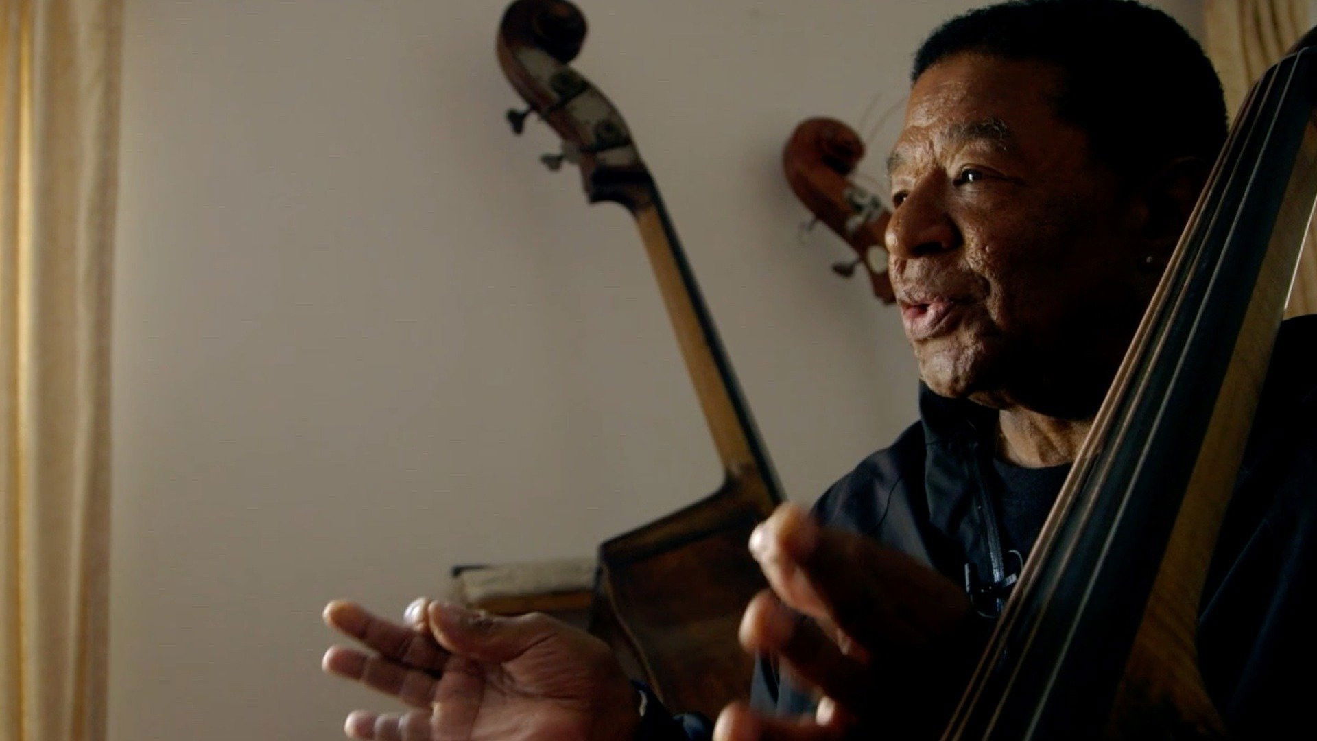 Buster Williams Bass to Infinity