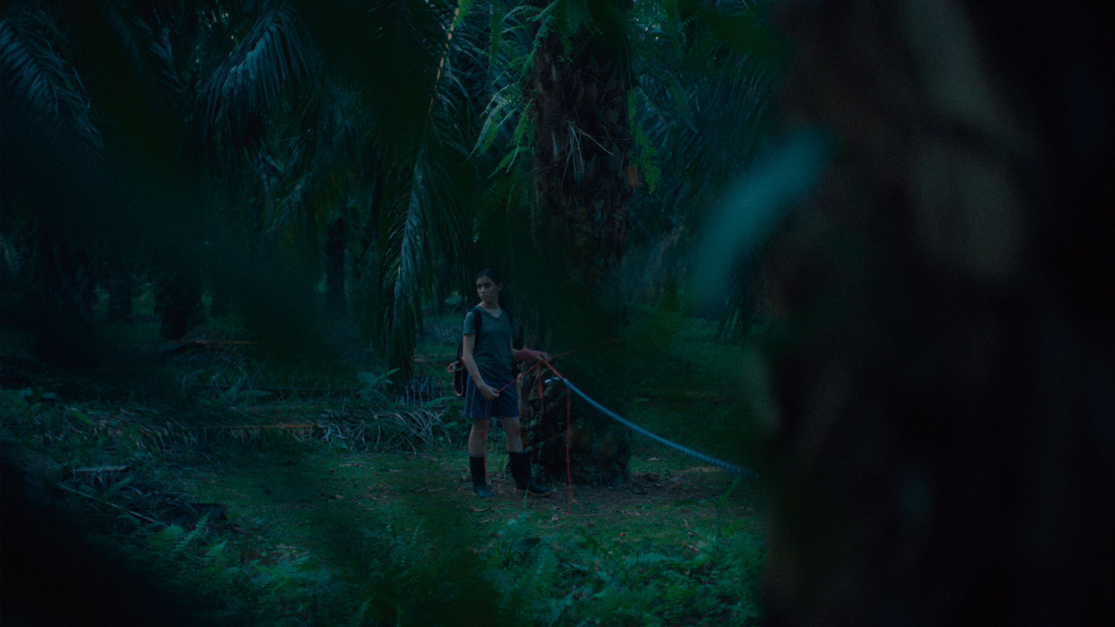 If We Don't Burn, How Do We Light Up the Night