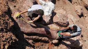 Raising the Dinosaur Giant