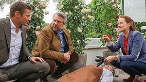 Everyone Wants Stockl