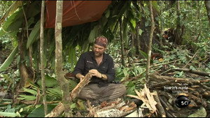 Papua New Guinea