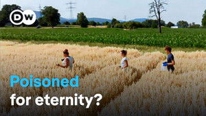 Toxic and tenacious - How "forever chemicals” are damaging our health