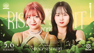 Marigold Rising Spirit 2025 ~ Day 8