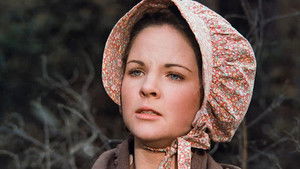 The Enchanted Cottage