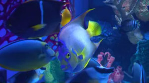 Brace Yourself for Employee of the Month