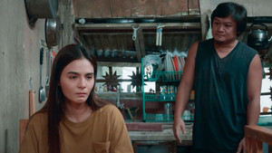 If the Plan is to Surrender