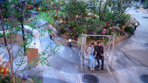 Reaching a New Level