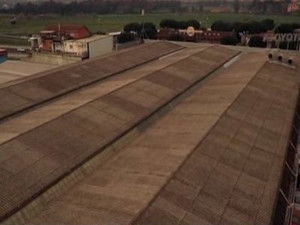 The climber of the Andes