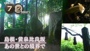 Yomotsu Hirasaka: Between This World and The Next