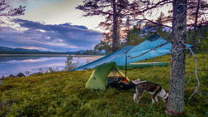 Gutulia – Resting Pulse in the Old-Growth Forest