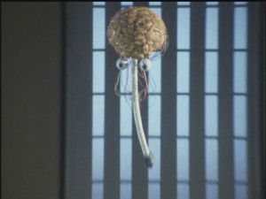 That Planet is a Map of Our Tomorrow!