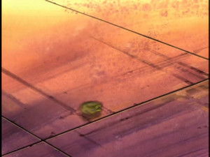 The Calm Before the Storm