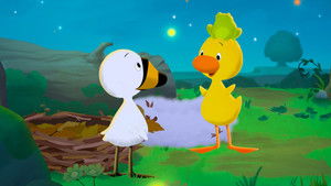 Sunrise / Magic Trick