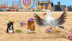 A Day at the Beach! / Save the Savanna Friends!