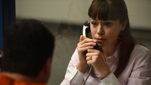 The Redesign of Natural Objects