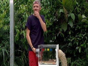 The Critter Cube (Misery Match)