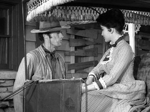 Incident in the Garden of Eden