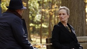 Katarina Rostova: Conclusion